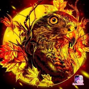 Meet your Posher, Robbie